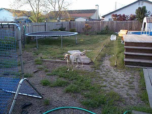 DCP00811