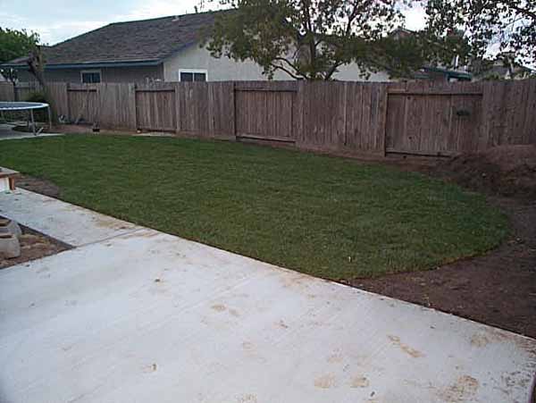 DCP00867