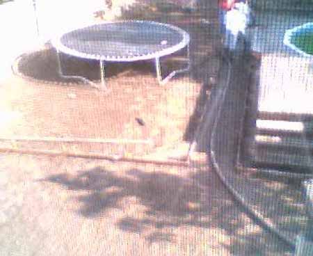 webcampic05_05_03_08;34
