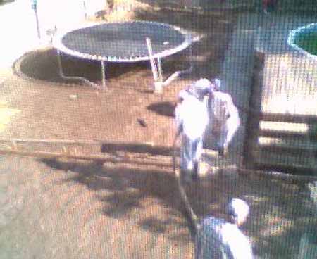 webcampic05_05_03_08;39