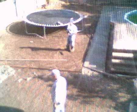 webcampic05_05_03_08;42