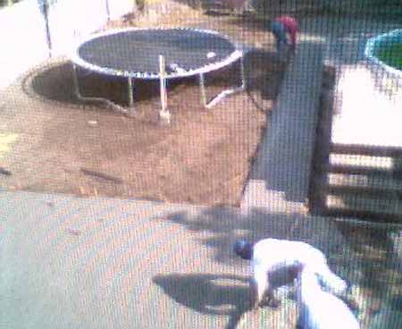webcampic05_05_03_08;52
