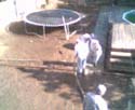 webcampic05_05_03_08;39