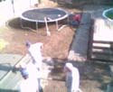 webcampic05_05_03_08;47