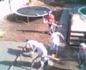 webcampic05_05_03_08;49