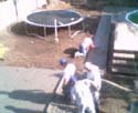 webcampic05_05_03_08;50