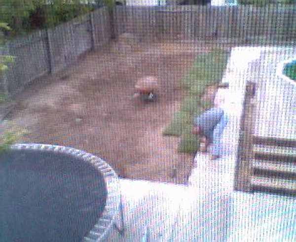 webcampic05_07_03_13;45