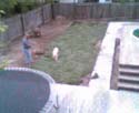 webcampic05_07_03_14;45
