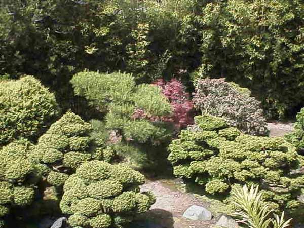 sanfran (12)