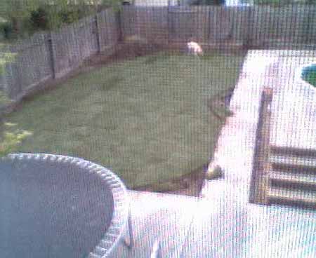 webcampic05_07_03_18;02