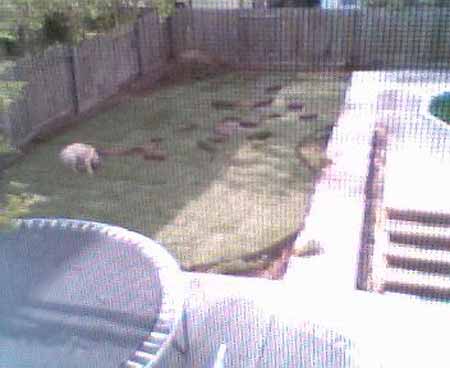 webcampic05_07_03_18;12
