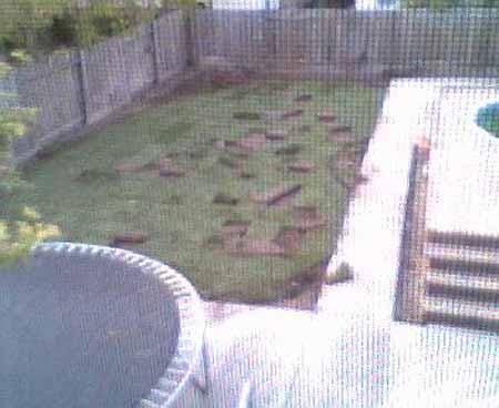 webcampic05_07_03_19;12