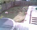 webcampic05_07_03_18;12