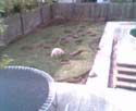webcampic05_07_03_18;22