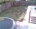 webcampic05_07_03_18;32