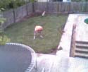 webcampic05_07_03_19;22